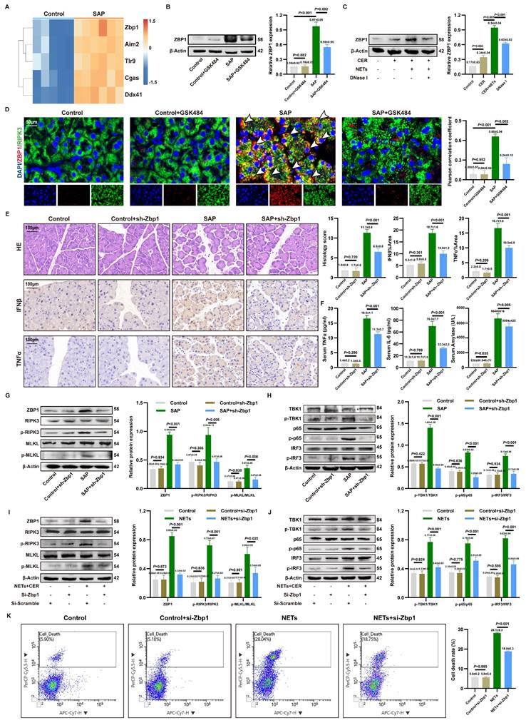 Int J Biol Sci Image