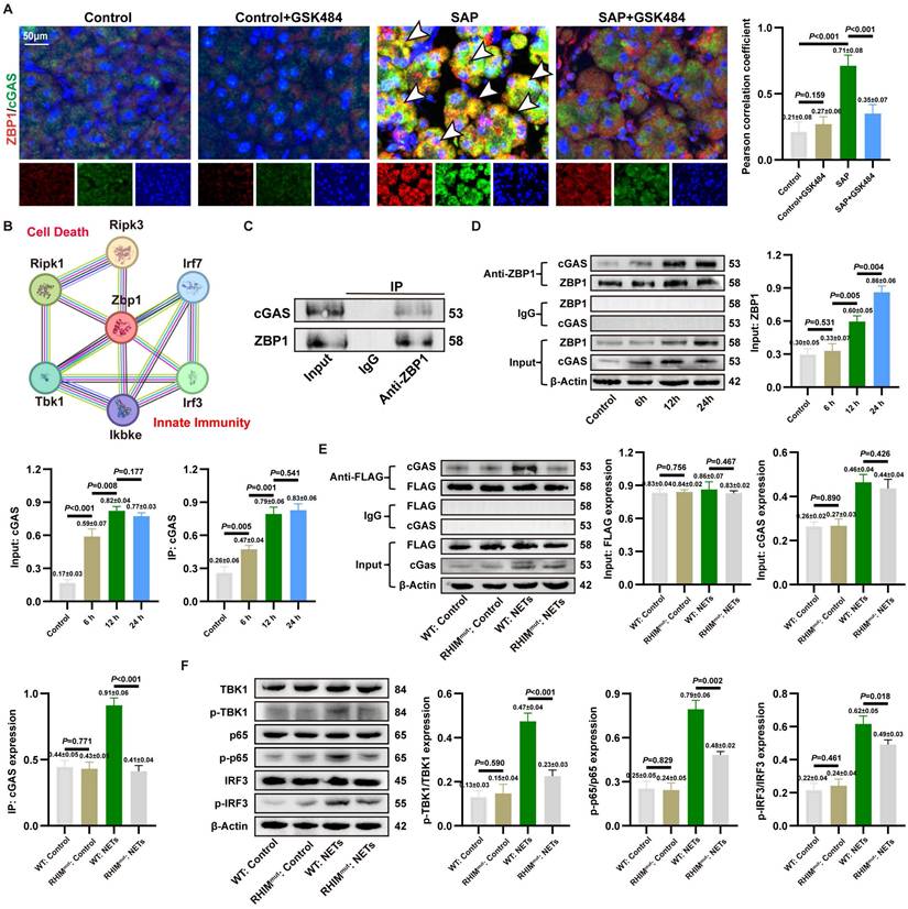 Int J Biol Sci Image