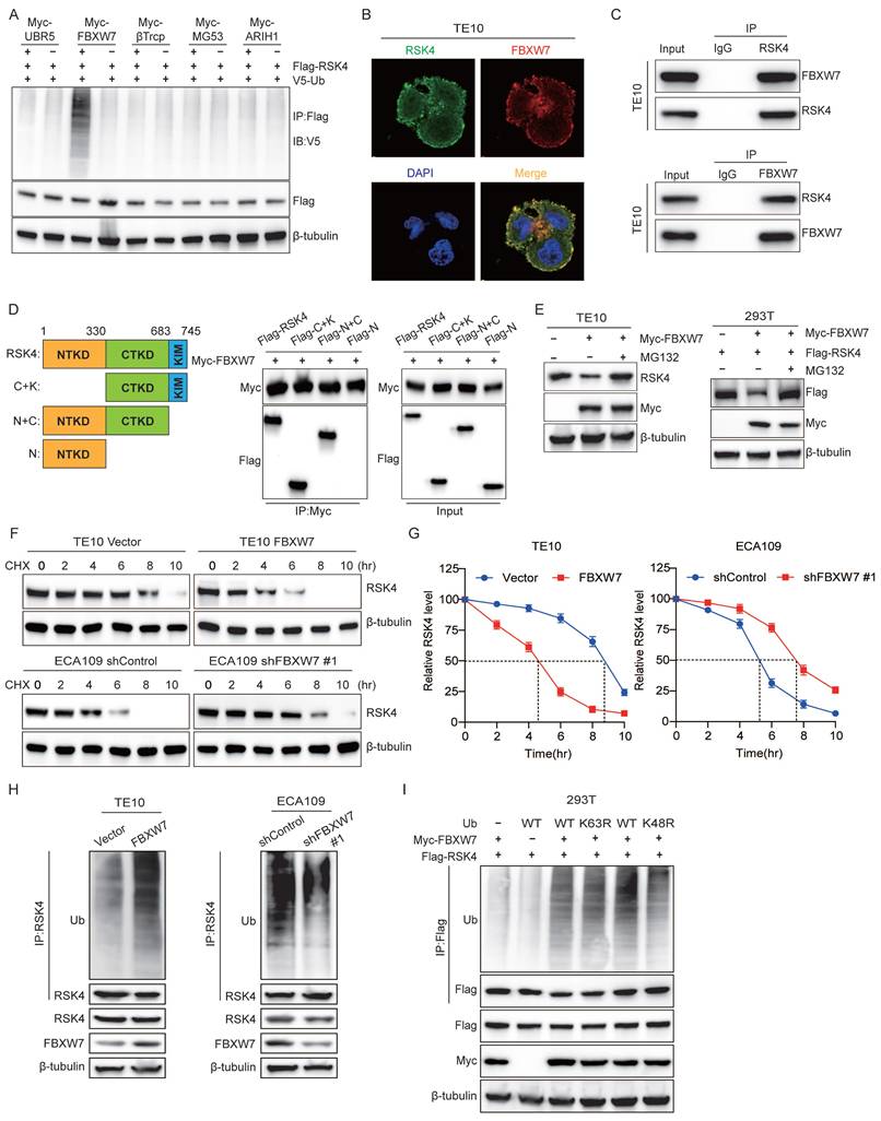Int J Biol Sci Image