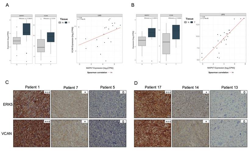 Int J Biol Sci Image