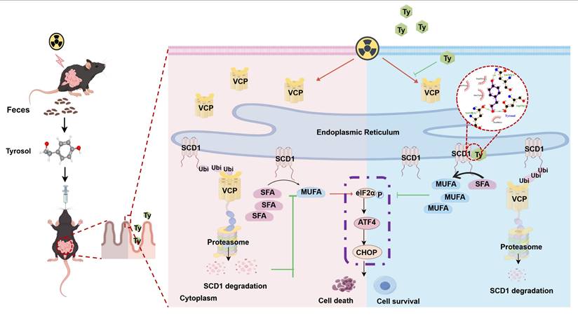 Int J Biol Sci Image