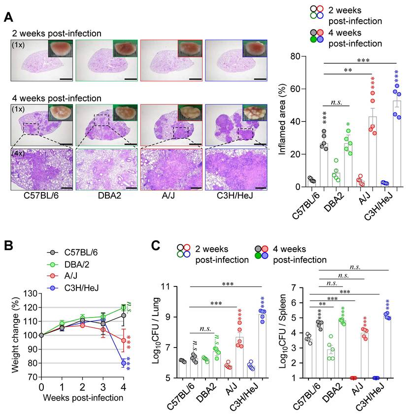 Int J Biol Sci Image