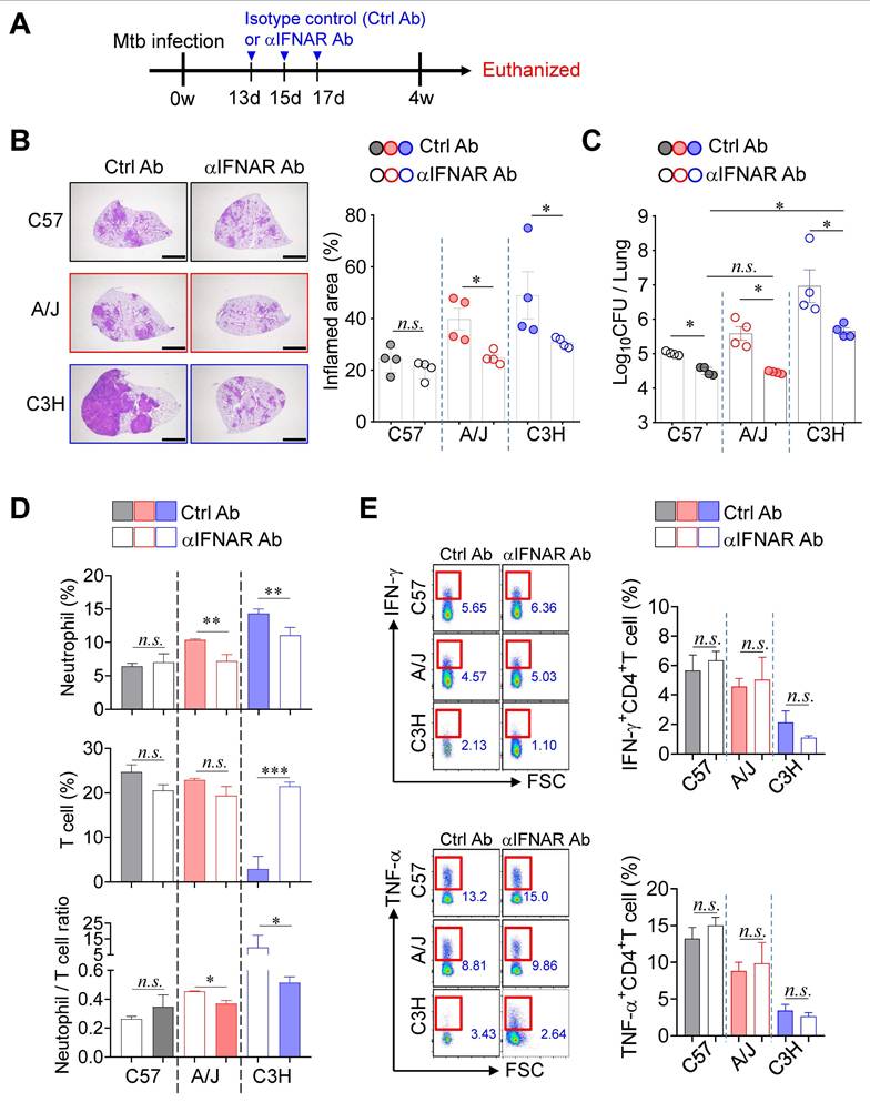 Int J Biol Sci Image
