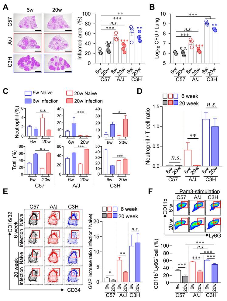 Int J Biol Sci Image