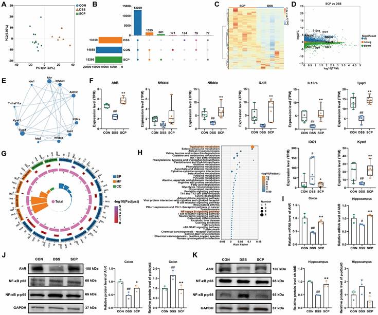 Int J Biol Sci Image