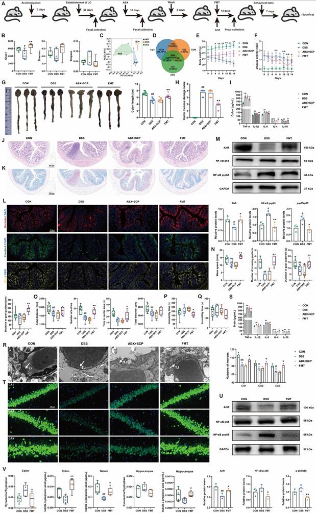 Int J Biol Sci Image