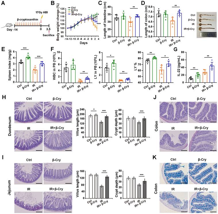 Int J Biol Sci Image