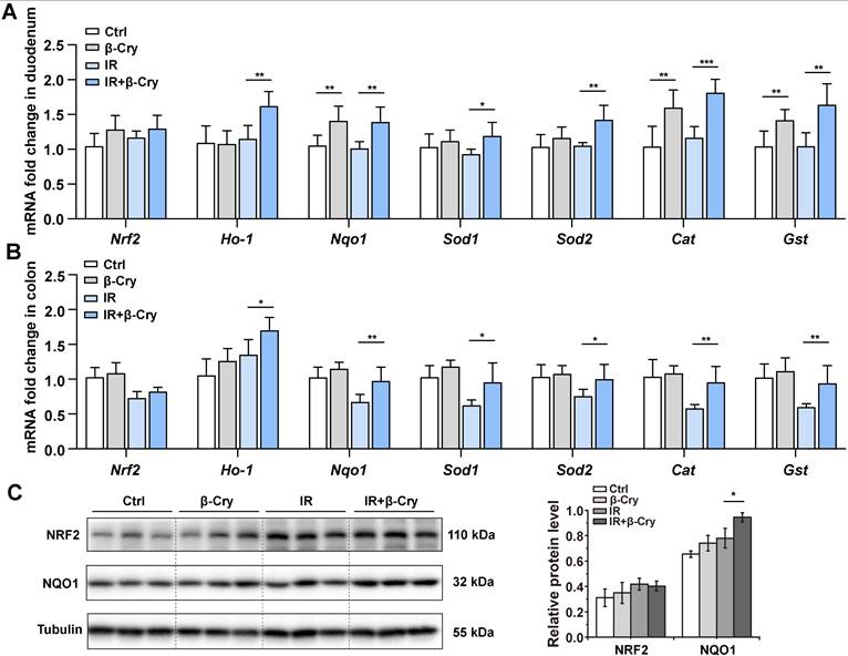 Int J Biol Sci Image