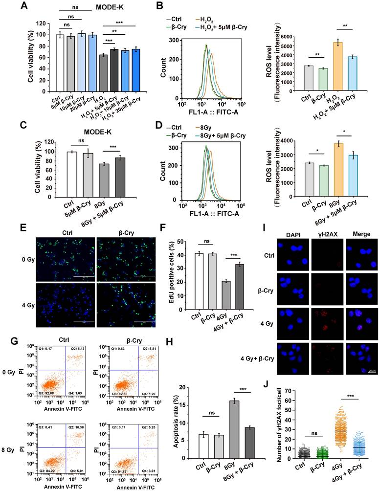 Int J Biol Sci Image