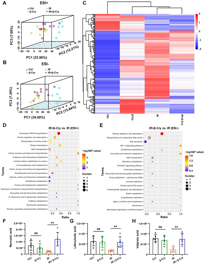 Int J Biol Sci Image