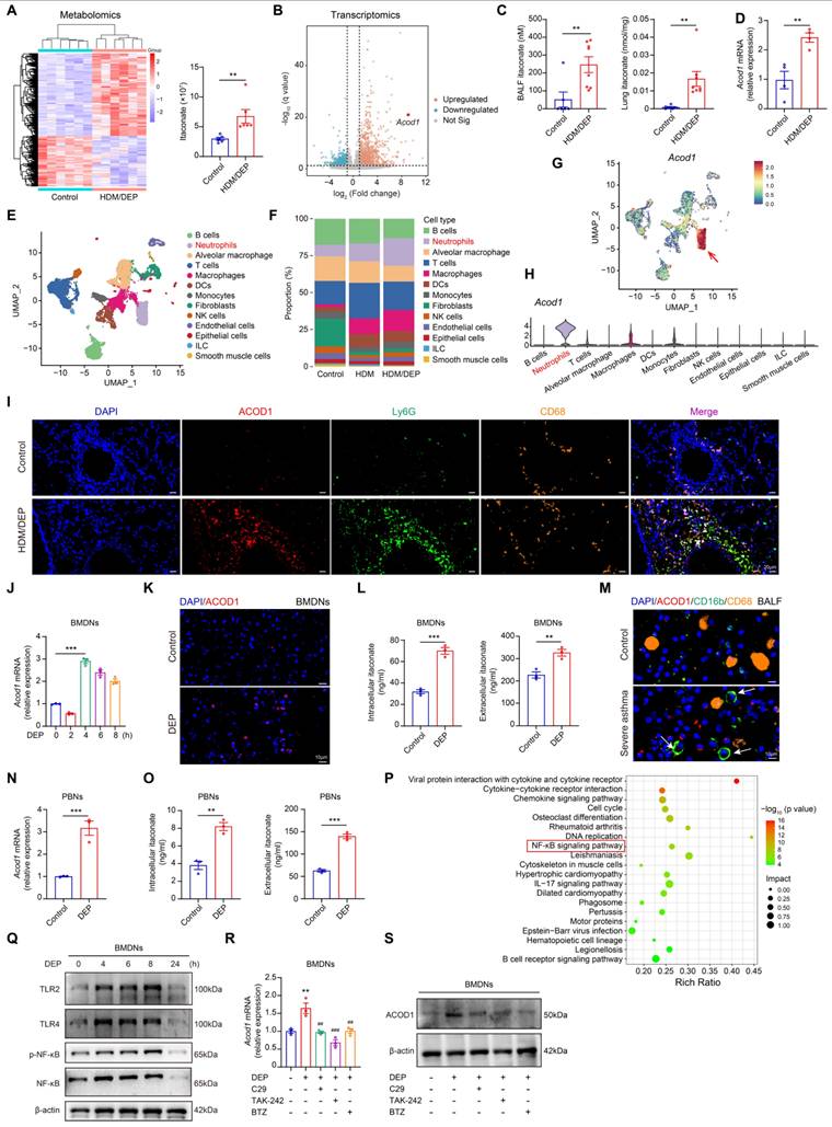 Int J Biol Sci Image