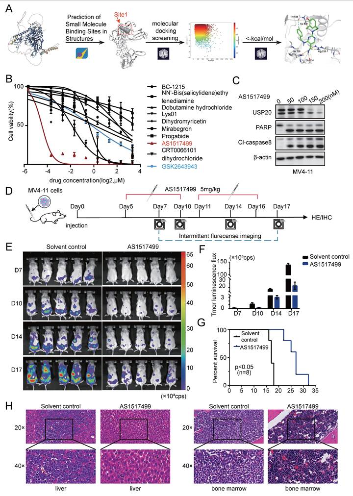 Int J Biol Sci Image