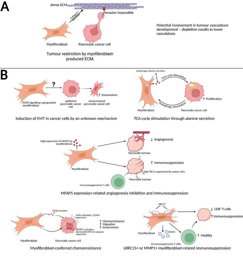 Int J Biol Sci Image