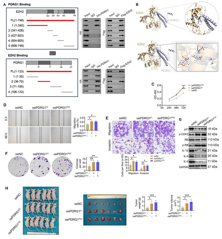 Int J Biol Sci Image