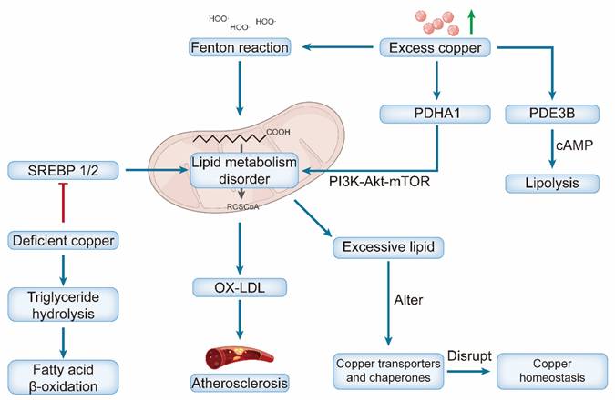 Int J Biol Sci Image