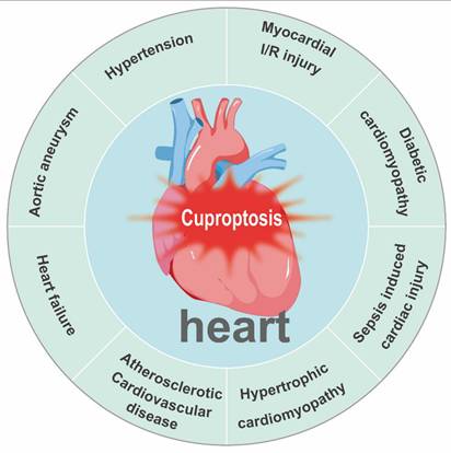 Int J Biol Sci Image