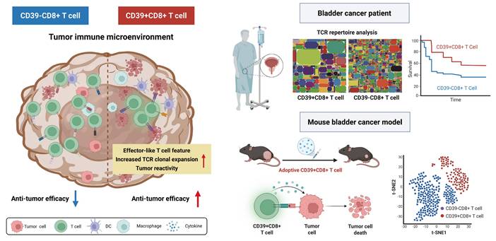 Int J Biol Sci Image