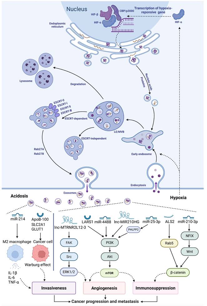 Int J Biol Sci Image