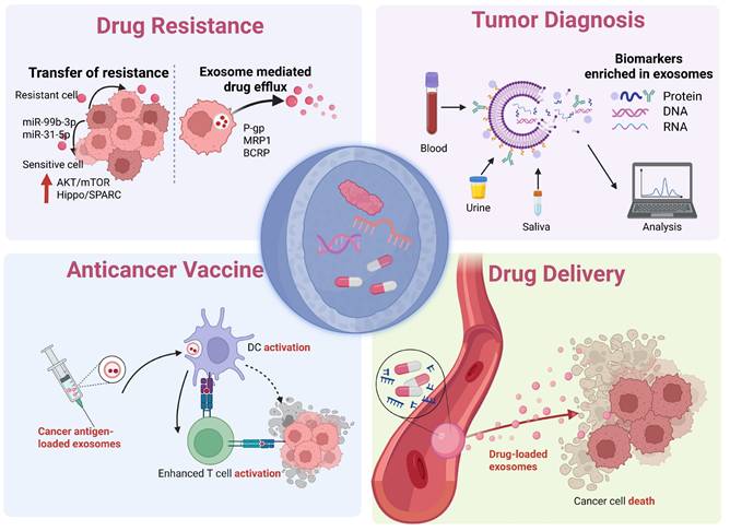 Int J Biol Sci Image