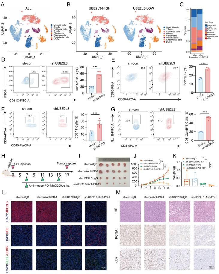Int J Biol Sci Image