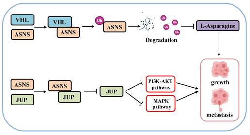 Int J Biol Sci Image
