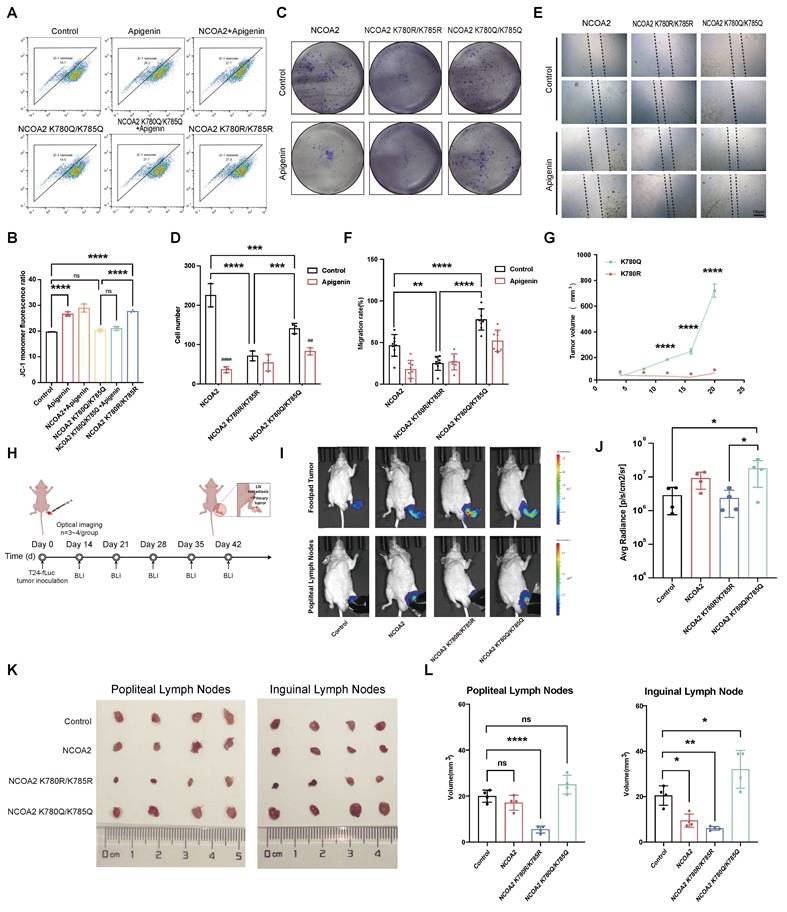 Int J Biol Sci Image