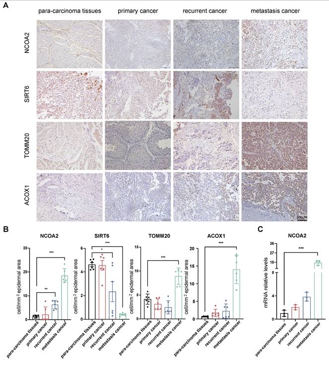 Int J Biol Sci Image