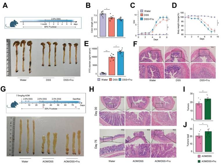 Int J Biol Sci Image