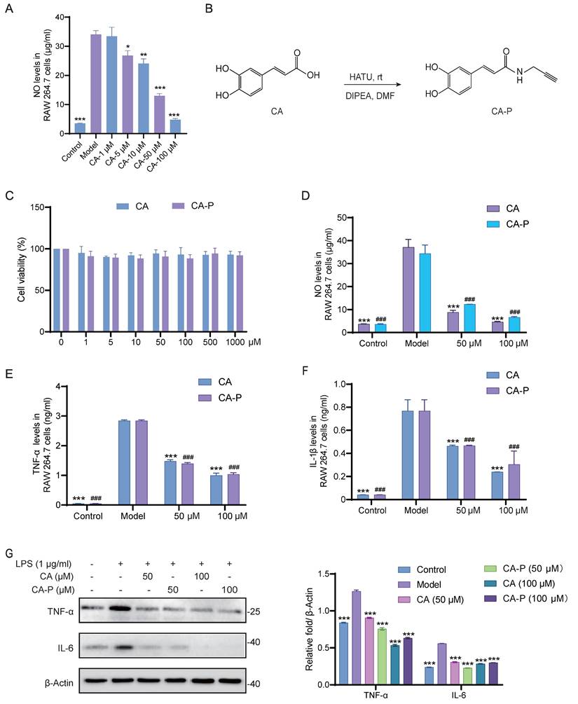 Int J Biol Sci Image