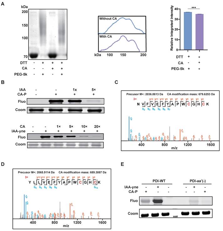 Int J Biol Sci Image