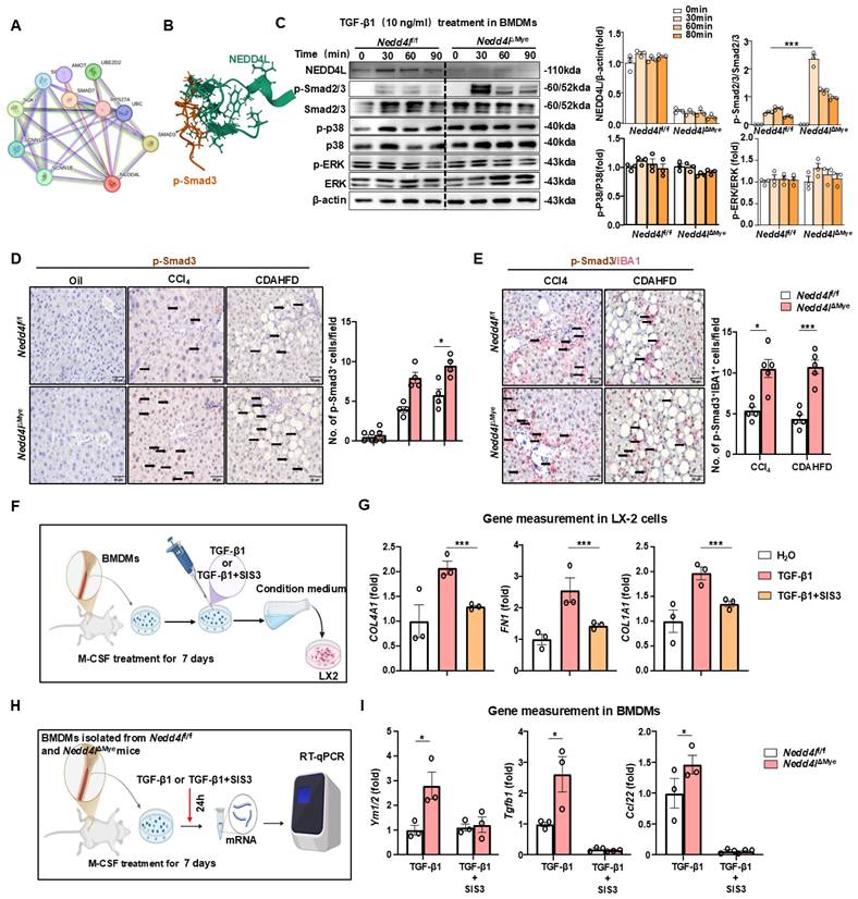 Int J Biol Sci Image