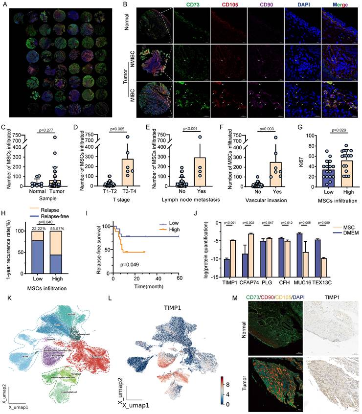 Int J Biol Sci Image