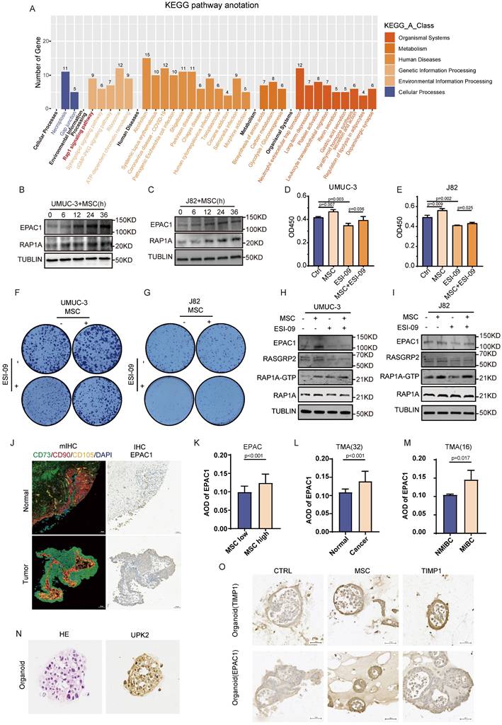 Int J Biol Sci Image