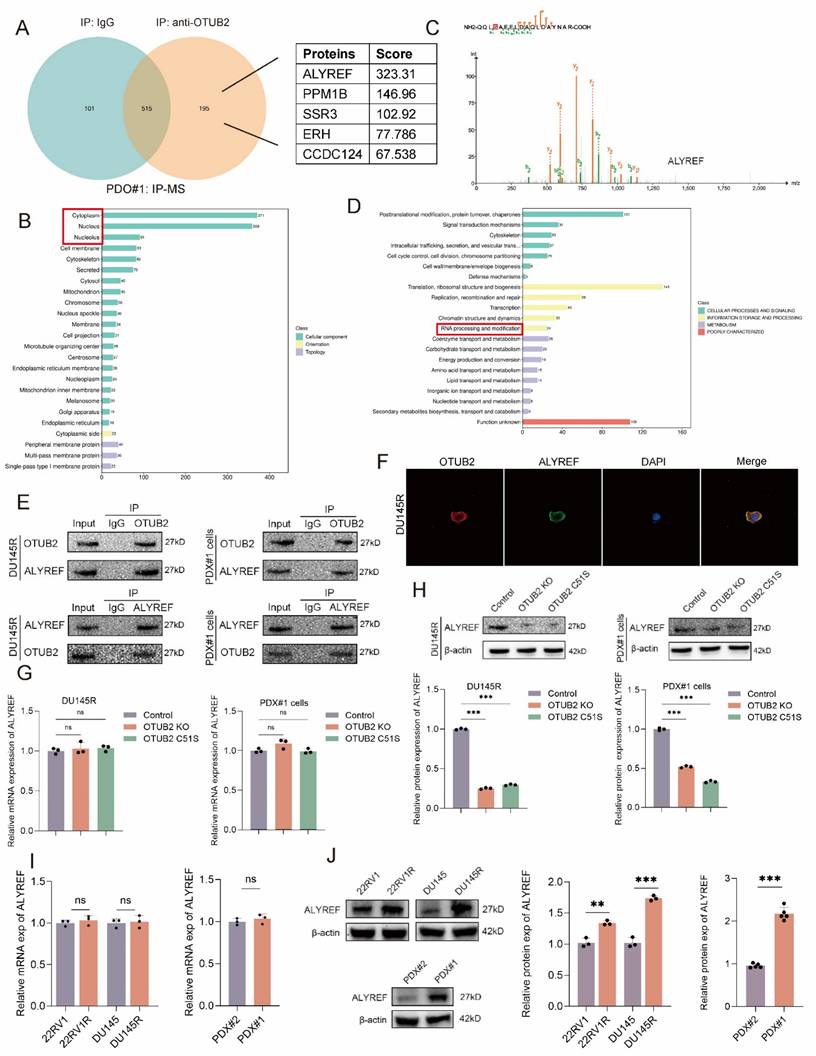 Int J Biol Sci Image