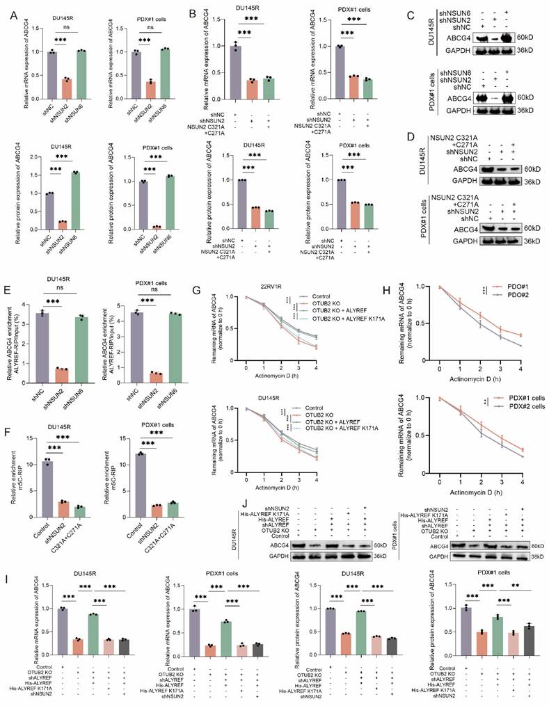 Int J Biol Sci Image