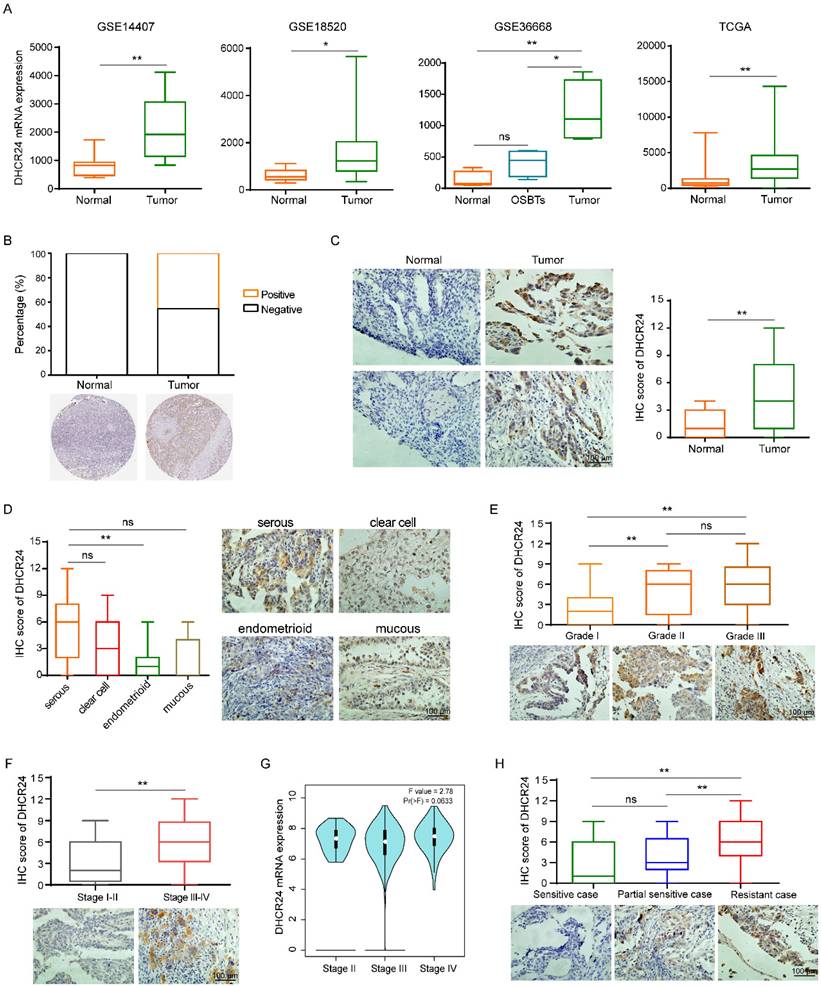 Int J Biol Sci Image