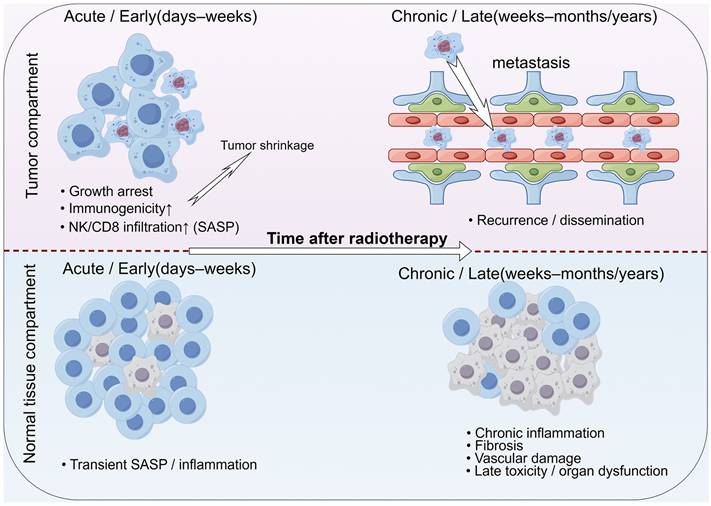 Int J Biol Sci Image