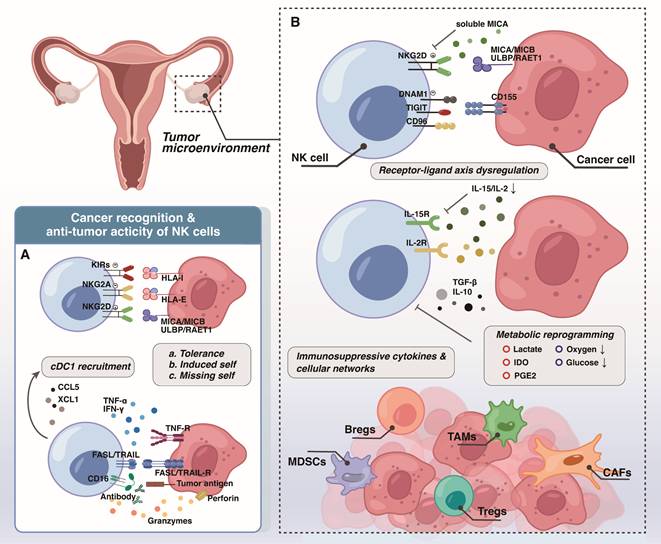 Int J Biol Sci Image