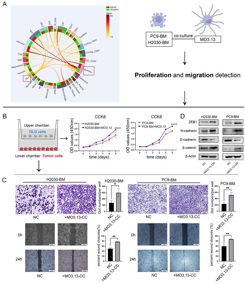Int J Biol Sci Image