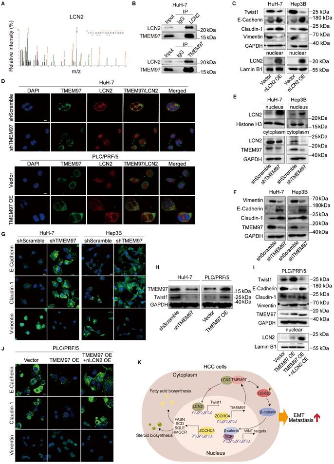 Int J Biol Sci Image