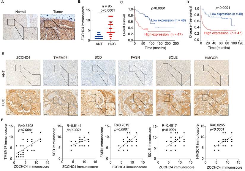 Int J Biol Sci Image
