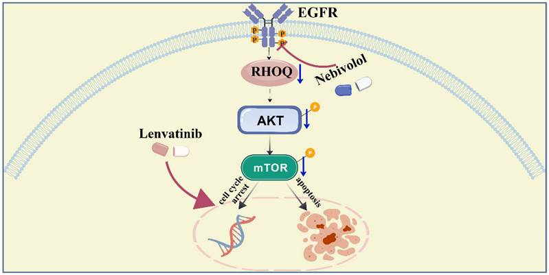 Int J Biol Sci Image