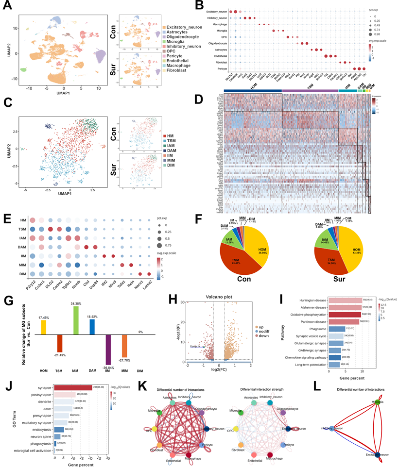 Int J Biol Sci Image