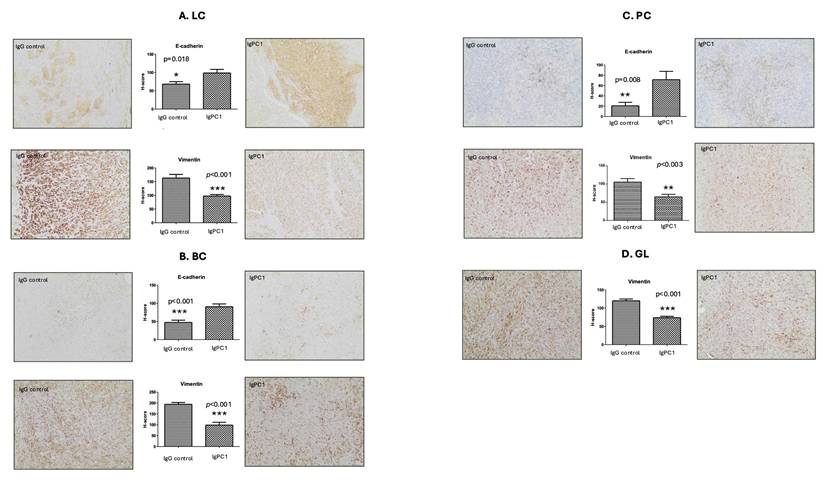 Int J Biol Sci Image