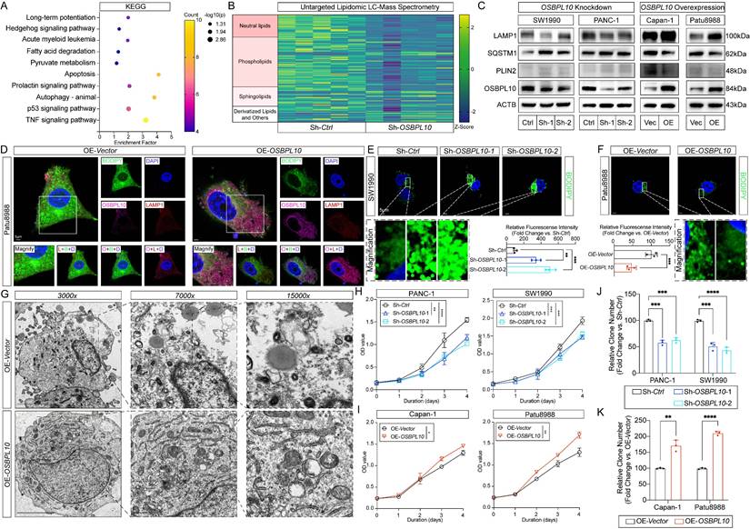 Int J Biol Sci Image