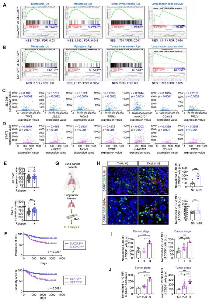 Int J Biol Sci Image