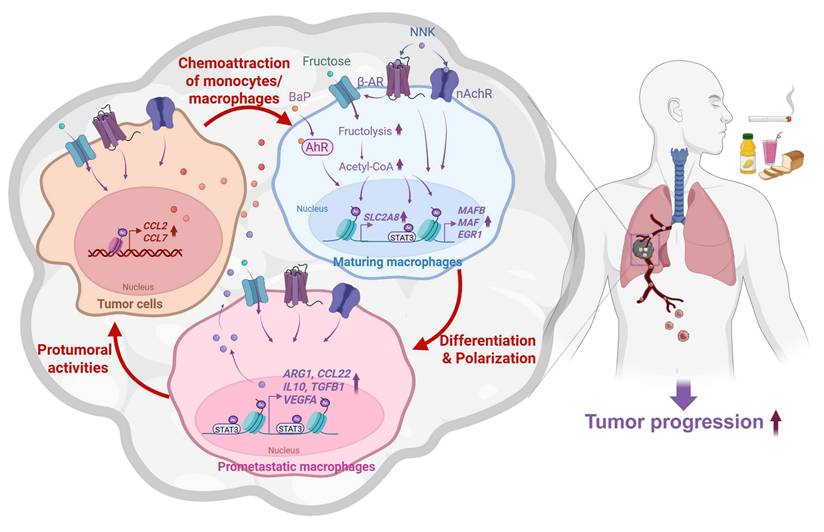 Int J Biol Sci Image