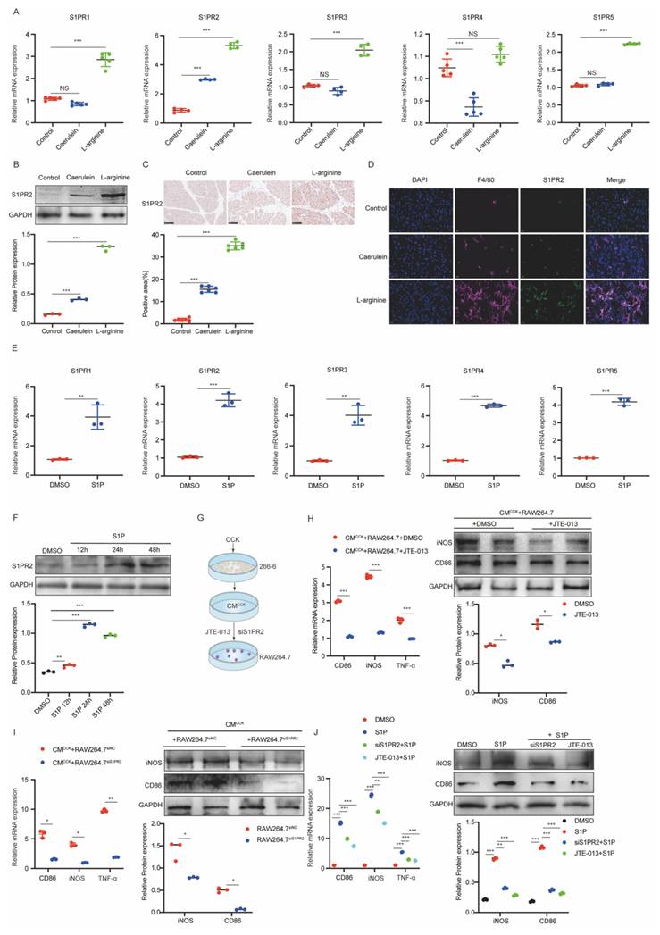 Int J Biol Sci Image