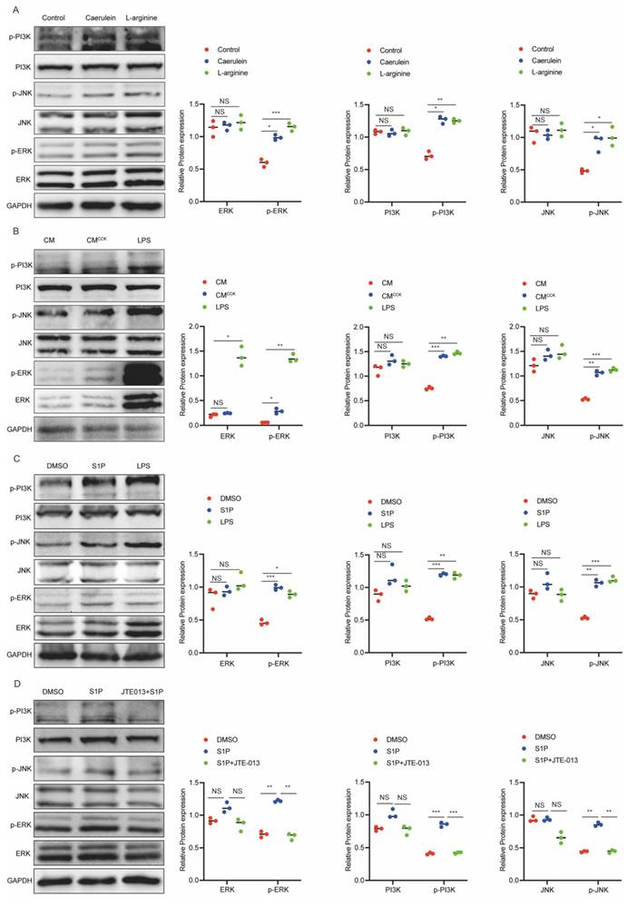 Int J Biol Sci Image