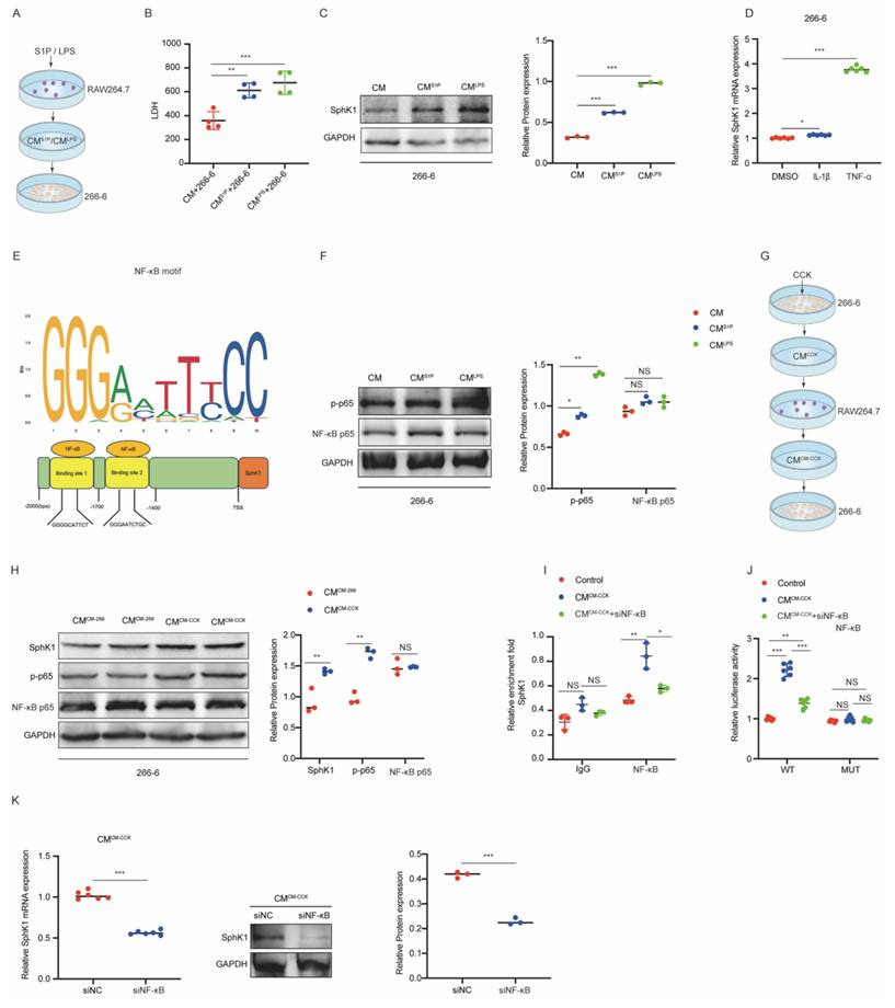 Int J Biol Sci Image